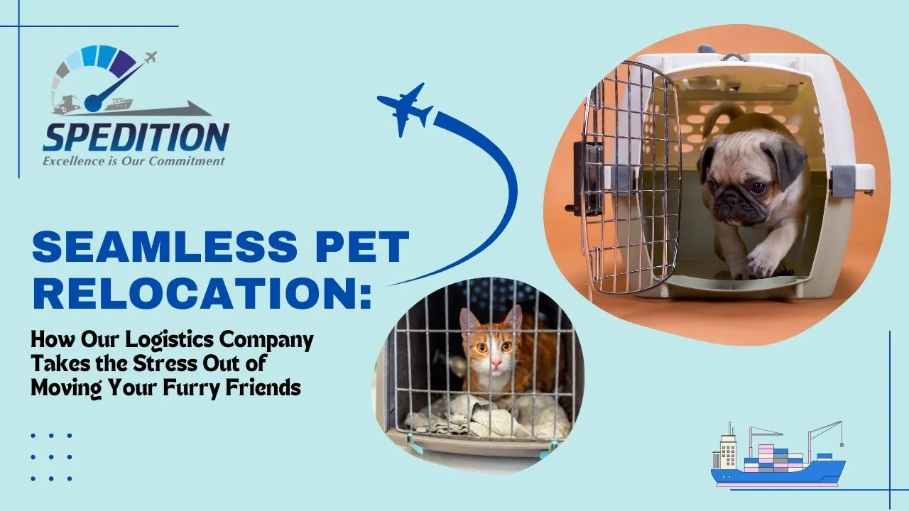 Relocate Your Beloved Pets Safely with Expert Pet Relocation Services