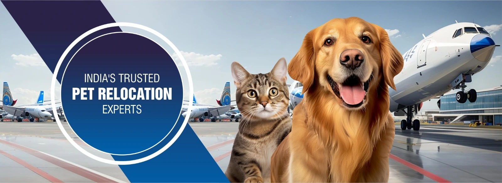 Relocate Your Beloved Pets Safely with Expert Pet Relocation Services